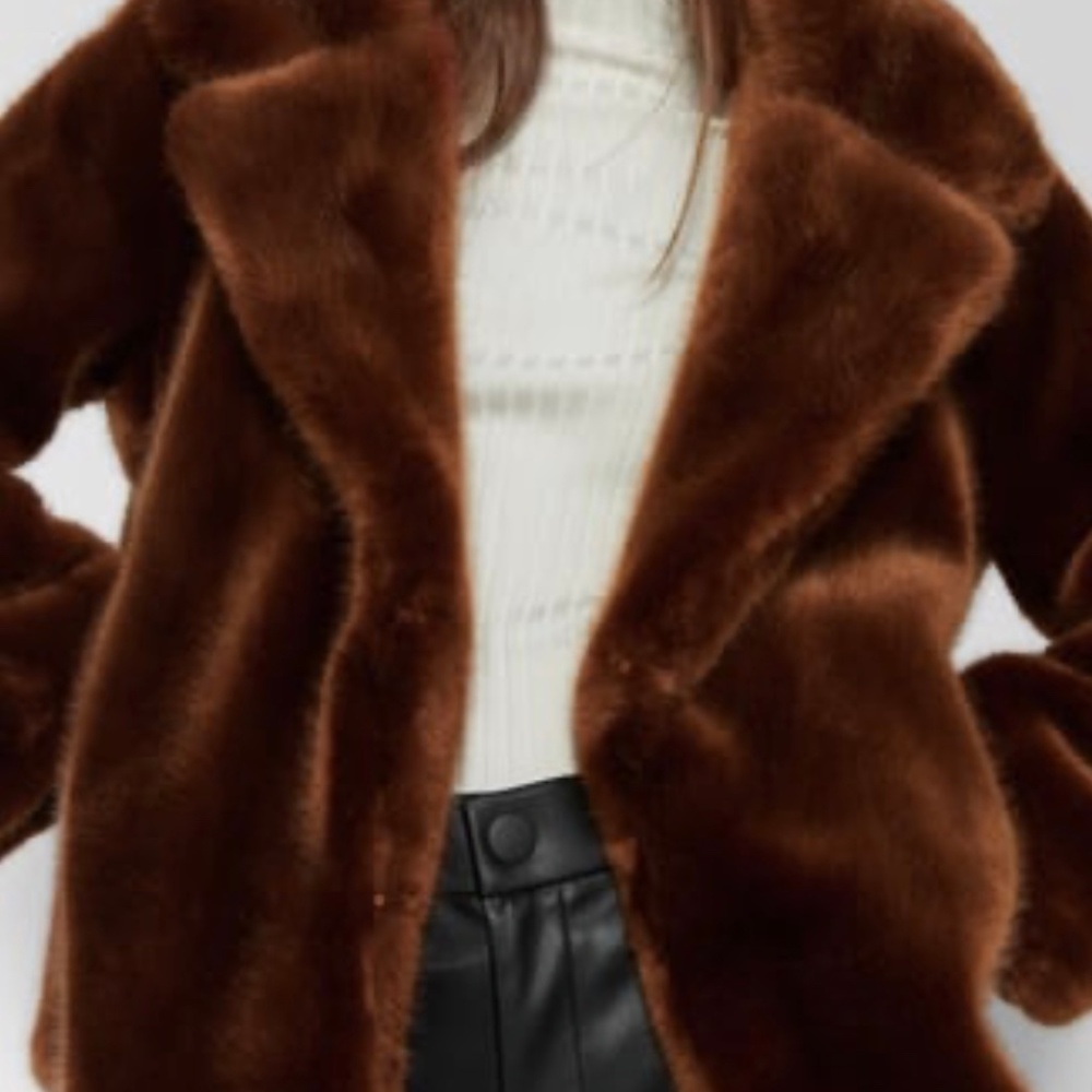 ZARA Faux Fur Coat:Brick, US  L - Picture 7 of 10